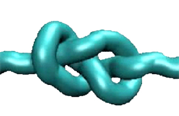 FigureofEightKnot