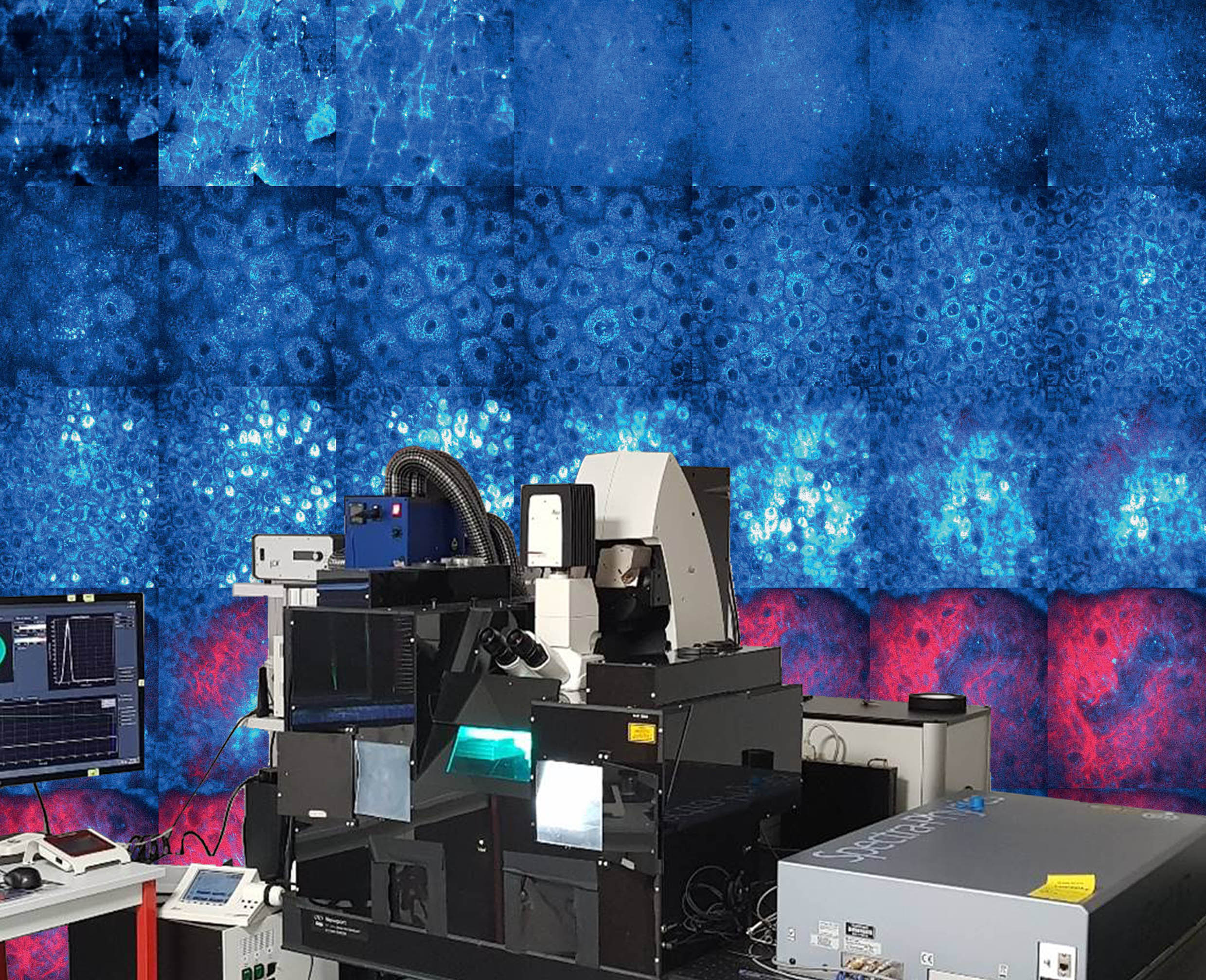 Multiphoton